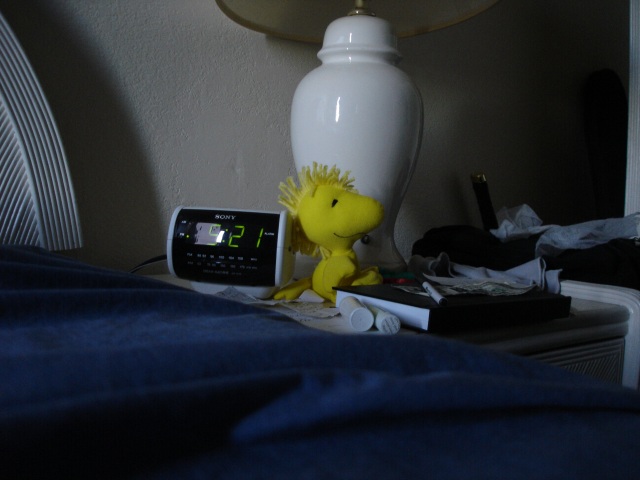 dsc00374_640.jpg