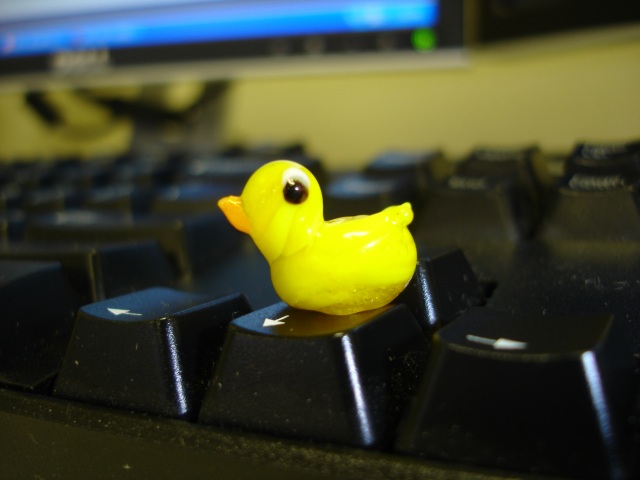 dsc03155_640.jpg
